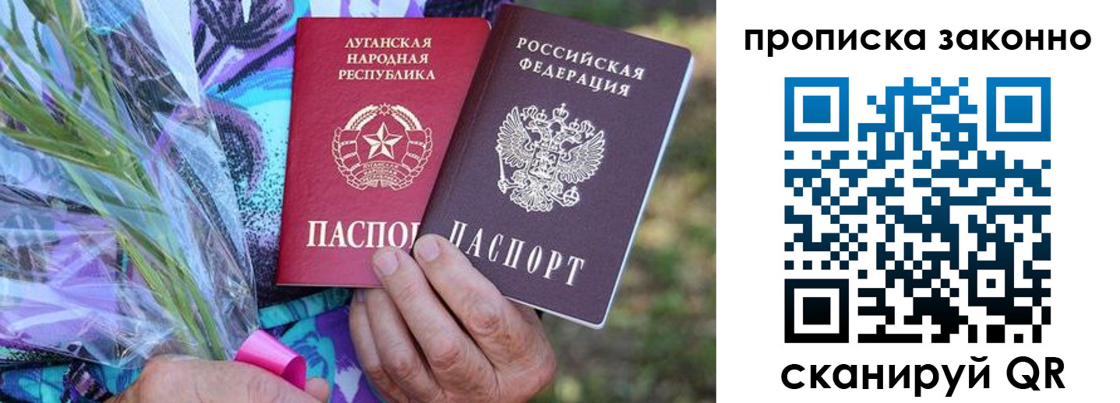 прописка для школы в Сясьстрое